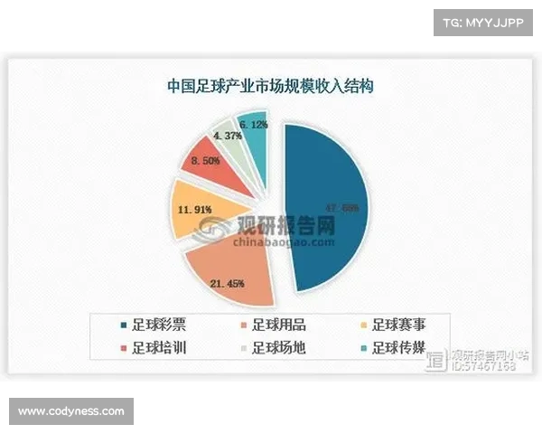 门线技术在现代足球比赛中的应用与发展趋势分析 门线技术在现代足球比赛中的应用与发展趋势分析